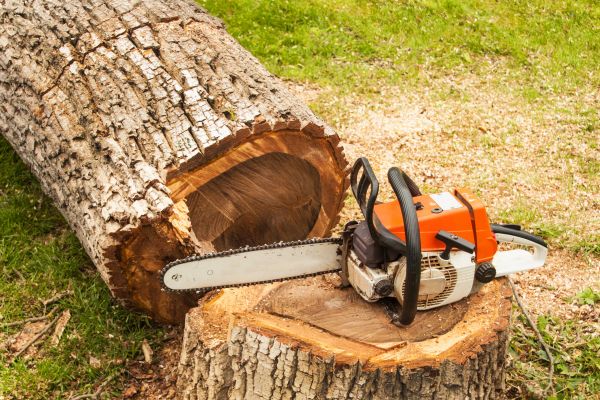 Tree Cutting Service in Ringgold