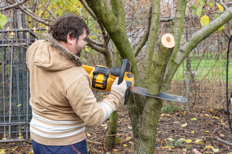 Commercial Tree Service detail